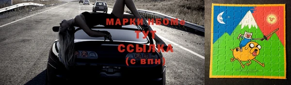 прущие грибы Аркадак