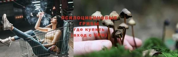 apvp Балабаново