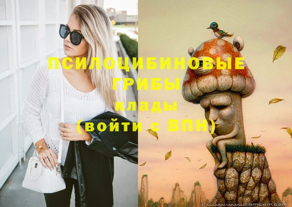 ГАЛЛЮЦИНОГЕННЫЕ ГРИБЫ Балахна