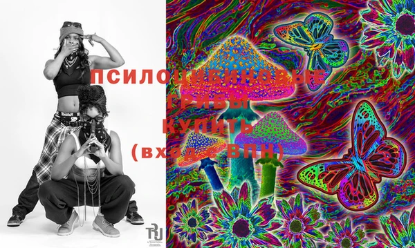 ГАЛЛЮЦИНОГЕННЫЕ ГРИБЫ Балахна