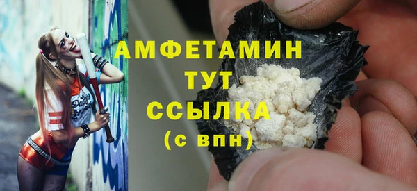 прущие грибы Аркадак