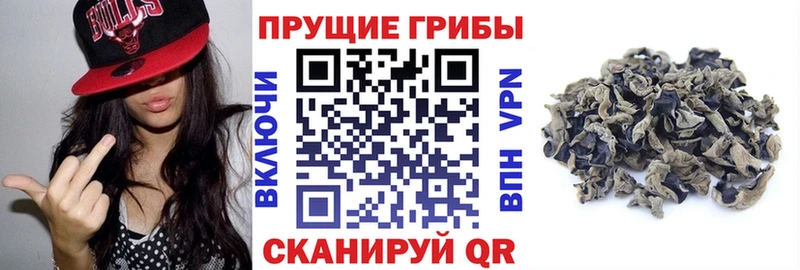 где найти наркотики Киреевск Галлюциногенные грибы GOLDEN TEACHER
